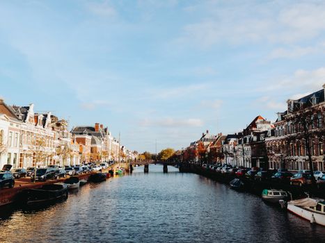 Avondbeeld van bioscoopbezoekers in Haarlem die kiezen uit films en uitgaansopties in het centrum